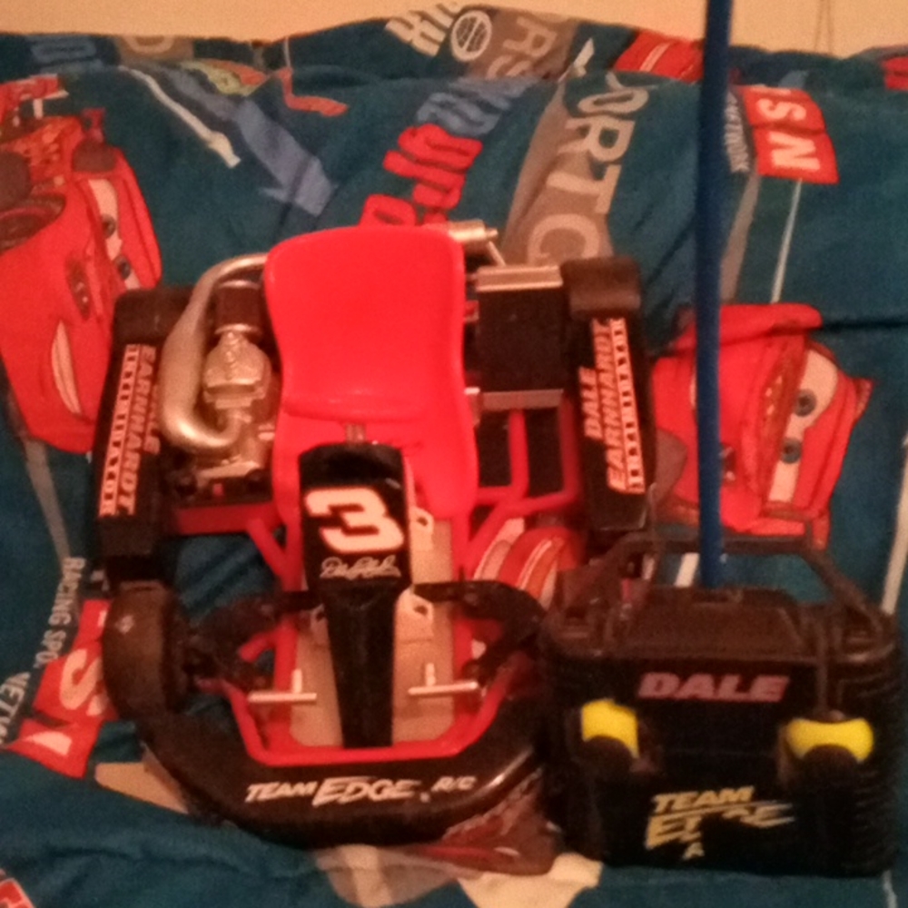 Dale Earnhardt remote control go karts.